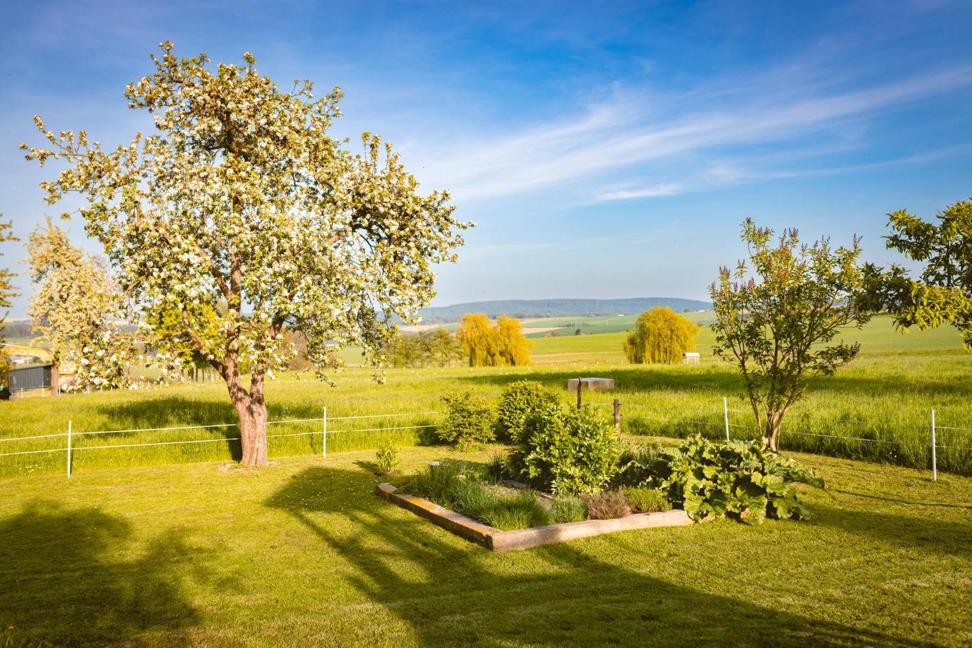 Gasthof Drei Schwanen Langenwetzendorf Esterno foto